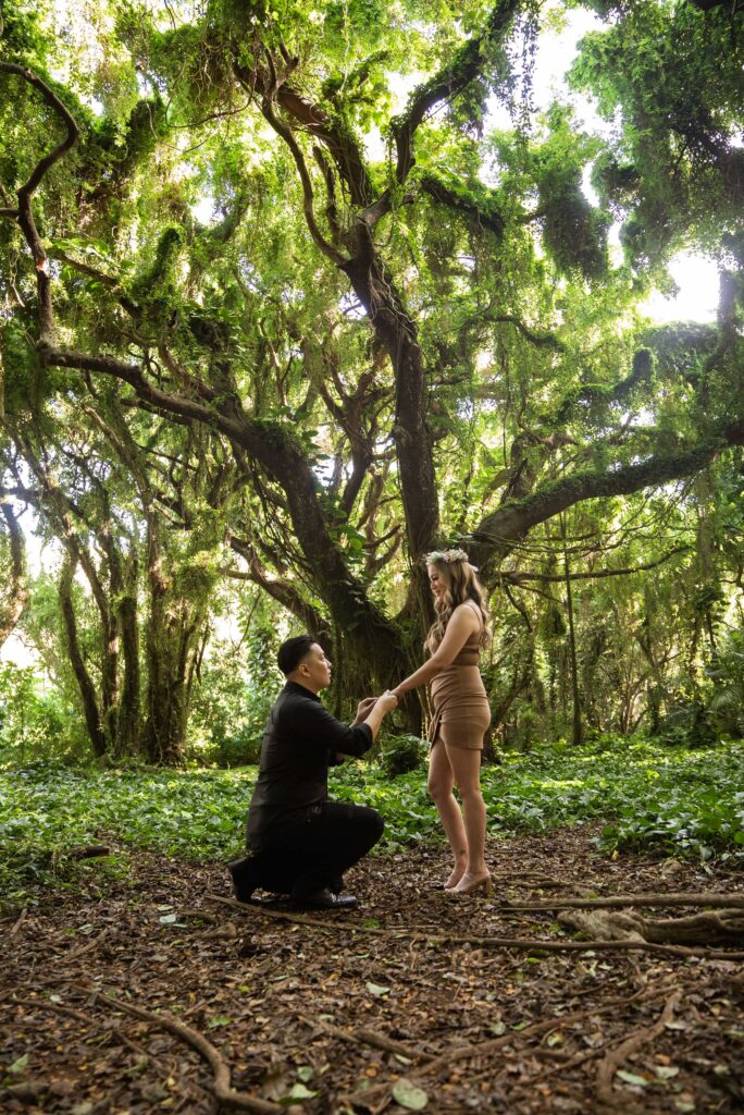 Maui proposal and engagement video and photography