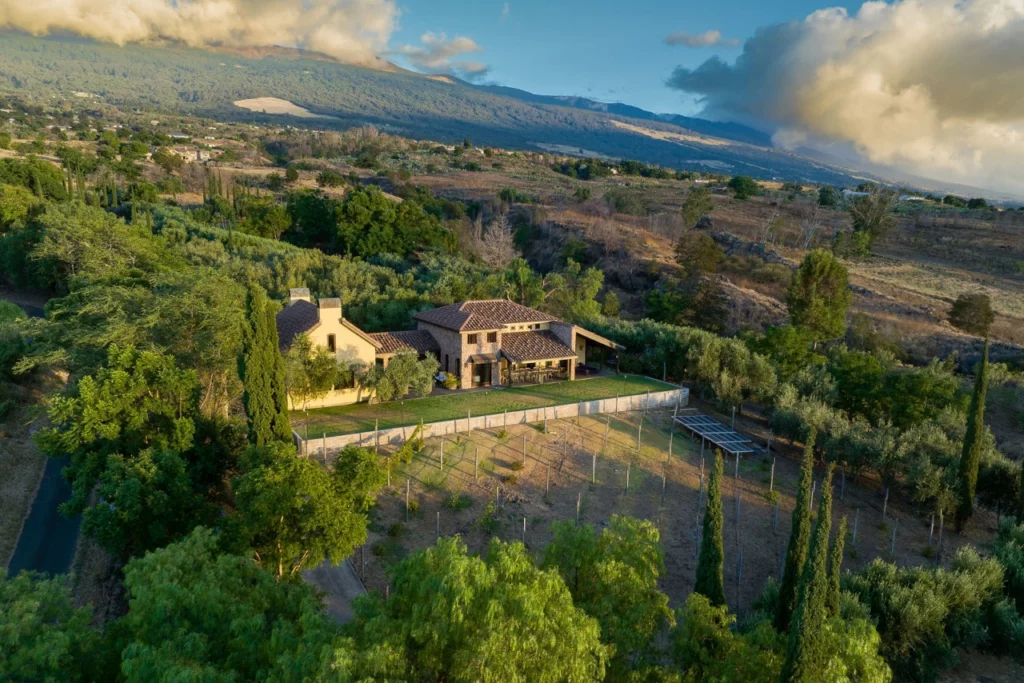 707 CALASA RD. MAUI OLIVE FARM